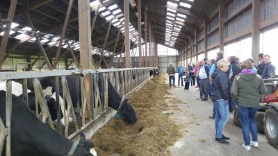 Der Laufstall bei Familie Rothert